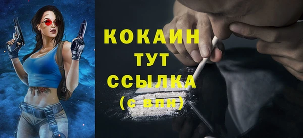 прущие грибы Новокубанск