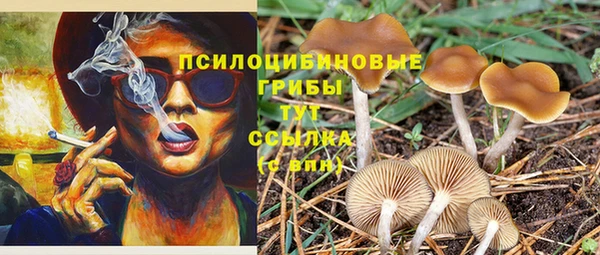 метамфетамин Новодвинск