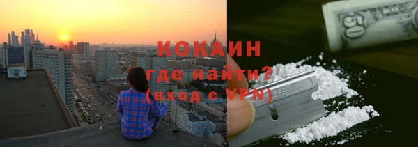 прущие грибы Новокубанск