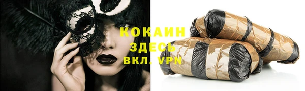 прущие грибы Новокубанск