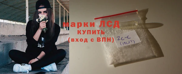 прущие грибы Новокубанск