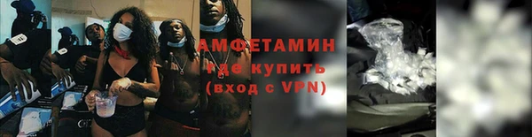 прущие грибы Новокубанск