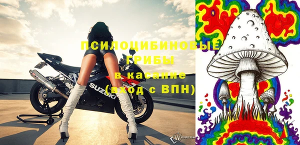 прущие грибы Новокубанск