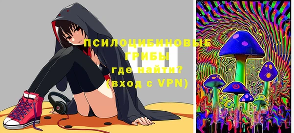 apvp Белая Холуница