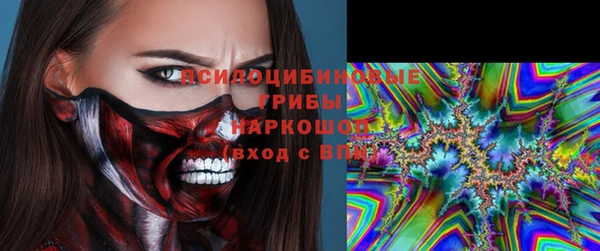 прущие грибы Новокубанск