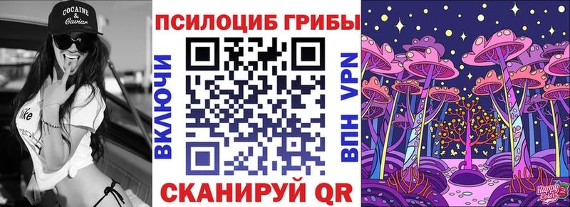 блэк спрут рабочий сайт  Малаховка  Псилоцибиновые грибы Cubensis 